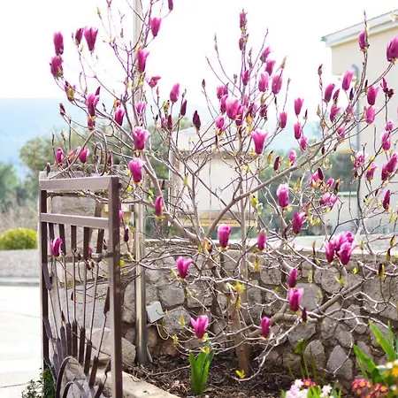 Ljubica 게스트하우스 3*