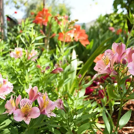 Pensión Ljubica Cres