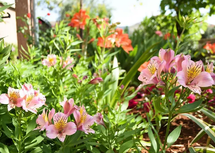 Pensión Ljubica Cres